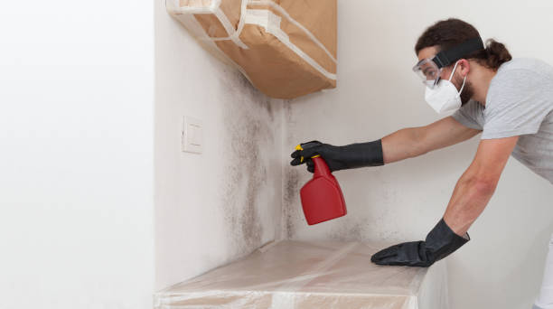 Professional Crawl Space Mold Removal technician working in Louisburg, NC