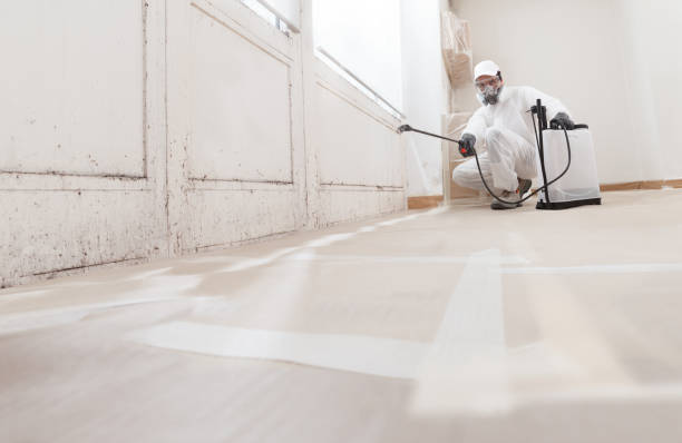 24/7 Emergency Crawl Space Mold Removal experts in Louisburg, NC