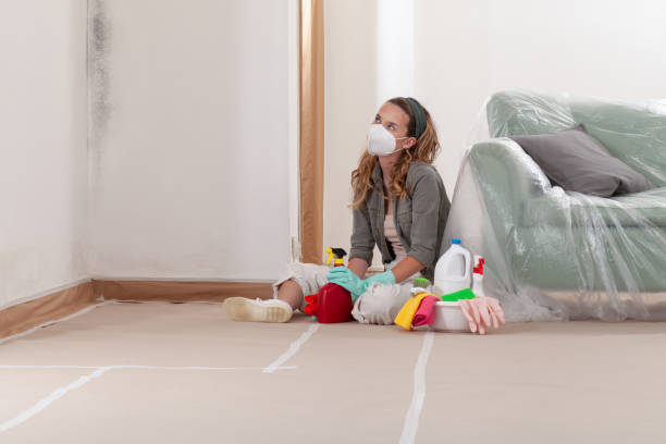 Reliable Crawl Space Mold Removal contractor in Louisburg, NC by WQB Mold Removal