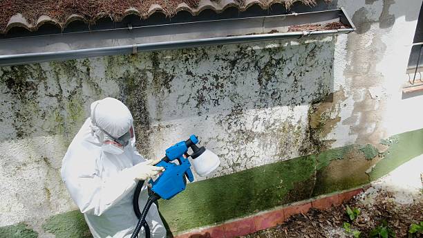 Top rated local Crawl Space Mold Removal specialists in Louisburg, NC